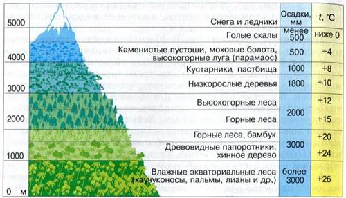 Различия высотной поясности в горах. Природные зоны ВЫСОТНОЙ поясности. Высотная поясность горы Аконкагуа. Высотная зональность гор Кавказа. Высотная поясность таблица природные зоны.