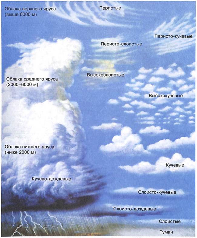 Высота образования облаков. Виды облаков схема. Высота образования кучевых облаков. Высококучевые облака схема. Типы облаков с осадками.
